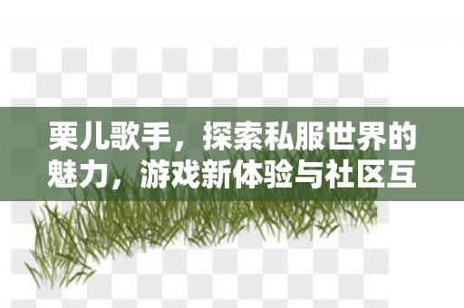 栗儿歌手,探索私服世界的魅力,游戏新体验与社区互动 栗儿歌手,探索私服世界的魅力,游戏新体验与社区互动