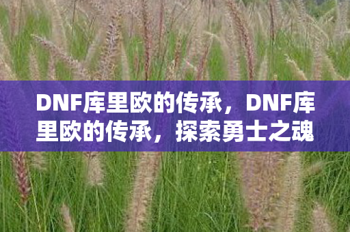 DNF库里欧的传承,DNF库里欧的传承,探索勇士之魂的延续 DNF库里欧的传承,DNF库里欧的传承,探索勇士之魂的延续