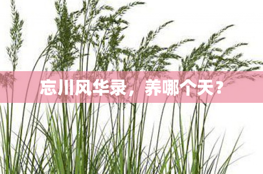 忘川风华录,养哪个天? 忘川风华录,养哪个天?