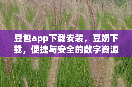 豆包app下载安装，豆奶下载，便捷与安全的数字资源获取新选择