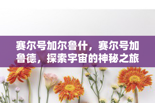 赛尔号加尔鲁什，赛尔号加鲁德，探索宇宙的神秘之旅