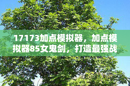 17173加点模拟器,加点模拟器85女鬼剑,打造最强战斗力的关键策略 17173加点模拟器,加点模拟器85女鬼剑,打造最强战斗力的关键策略