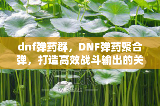 dnf弹药群,DNF弹药聚合弹,打造高效战斗输出的关键 dnf弹药群,DNF弹药聚合弹,打造高效战斗输出的关键