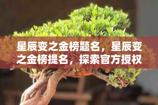 星辰变之金榜题名,星辰变之金榜提名,探索官方授权的独特魅力 星辰变之金榜题名,星辰变之金榜提名,探索官方授权的独特魅力
