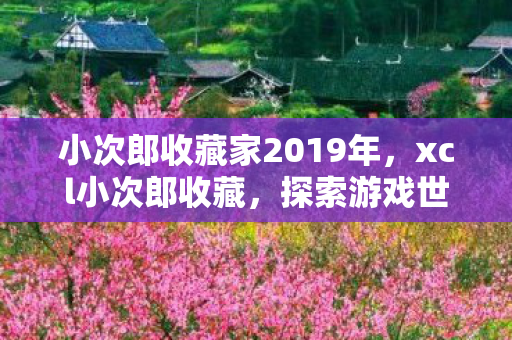 小次郎收藏家2019年,xcl小次郎收藏,探索游戏世界的独特魅力 小次郎收藏家2019年,xcl小次郎收藏,探索游戏世界的独特魅力