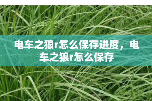 电车之狼r怎么保存进度,电车之狼r怎么保存 电车之狼r怎么保存进度,电车之狼r怎么保存