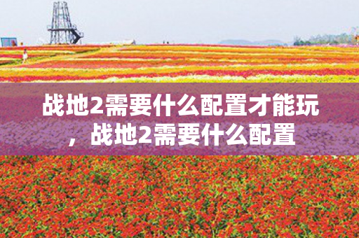 战地2需要什么配置才能玩,战地2需要什么配置 战地2需要什么配置才能玩,战地2需要什么配置