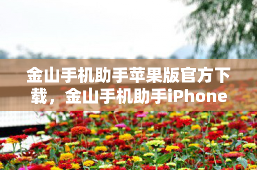 金山手机助手苹果版官方下载,金山手机助手iPhone版,打造高效便捷的移动设备管理新体验 金山手机助手苹果版官方下载,金山手机助手iPhone版,打造高效便捷的移动设备管理新体验