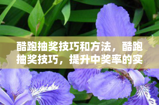 酷跑抽奖技巧和方法,酷跑抽奖技巧,提升中奖率的实用策略 酷跑抽奖技巧和方法,酷跑抽奖技巧,提升中奖率的实用策略