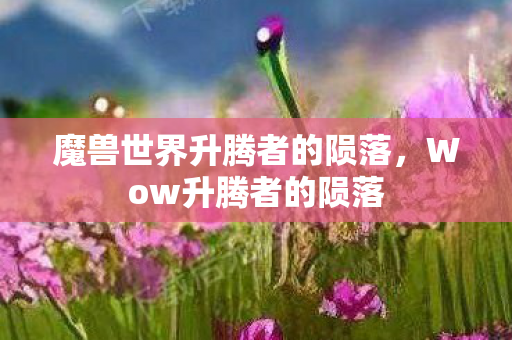 魔兽世界升腾者的陨落,Wow升腾者的陨落 魔兽世界升腾者的陨落,Wow升腾者的陨落