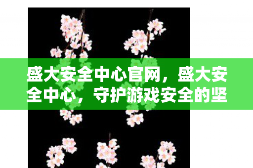 盛大安全中心官网,盛大安全中心,守护游戏安全的坚固防线 盛大安全中心官网,盛大安全中心,守护游戏安全的坚固防线