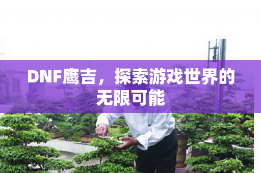 DNF鹰吉,探索游戏世界的无限可能 DNF鹰吉,探索游戏世界的无限可能
