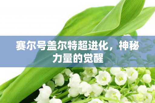 赛尔号盖尔特超进化，神秘力量的觉醒