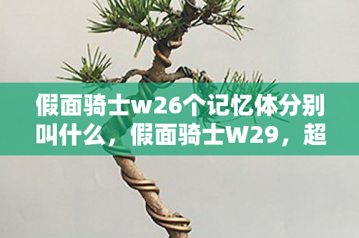 假面骑士w26个记忆体分别叫什么,假面骑士W29,超越时空的勇者传说 假面骑士w26个记忆体分别叫什么,假面骑士W29,超越时空的勇者传说