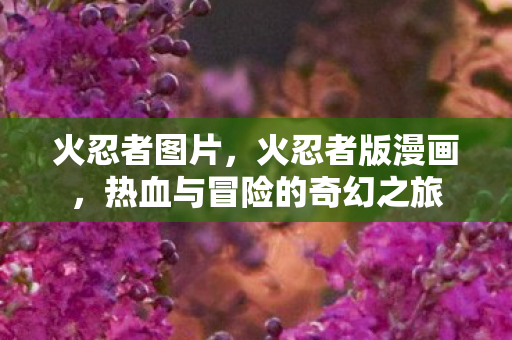 火忍者图片，火忍者版漫画，热血与冒险的奇幻之旅