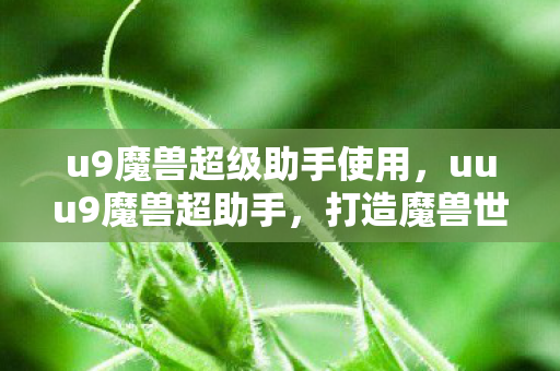 u9魔兽超级助手使用，uuu9魔兽超助手，打造魔兽世界的全新游戏体验