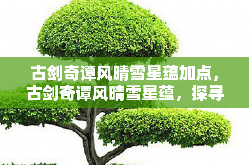 古剑奇谭风晴雪星蕴加点,古剑奇谭风晴雪星蕴,探寻游戏世界的神秘力量 古剑奇谭风晴雪星蕴加点,古剑奇谭风晴雪星蕴,探寻游戏世界的神秘力量