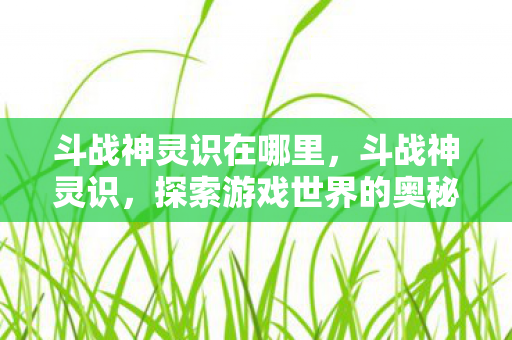 斗战神灵识在哪里,斗战神灵识,探索游戏世界的奥秘与策略 斗战神灵识在哪里,斗战神灵识,探索游戏世界的奥秘与策略