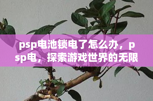 psp电池锁电了怎么办,psp电,探索游戏世界的无限可能 psp电池锁电了怎么办,psp电,探索游戏世界的无限可能