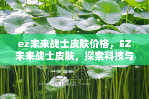 ez未来战士皮肤价格,EZ未来战士皮肤,探索科技与时尚的完美融合 ez未来战士皮肤价格,EZ未来战士皮肤,探索科技与时尚的完美融合