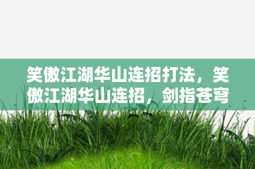 笑傲江湖华山连招打法，笑傲江湖华山连招，剑指苍穹，气吞山河