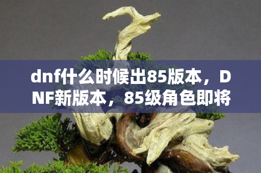 dnf什么时候出85版本,DNF新版本,85级角色即将登场 dnf什么时候出85版本,DNF新版本,85级角色即将登场