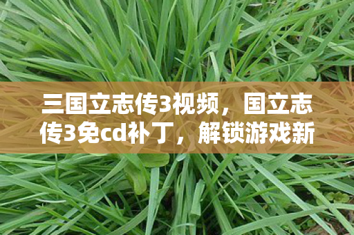 三国立志传3视频,国立志传3免cd补丁,解锁游戏新体验,安全使用是关键 三国立志传3视频,国立志传3免cd补丁,解锁游戏新体验,安全使用是关键