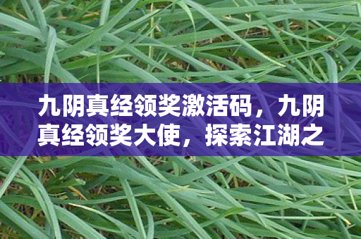 九阴真经领奖激活码,九阴真经领奖大使,探索江湖之旅的引领者 九阴真经领奖激活码,九阴真经领奖大使,探索江湖之旅的引领者
