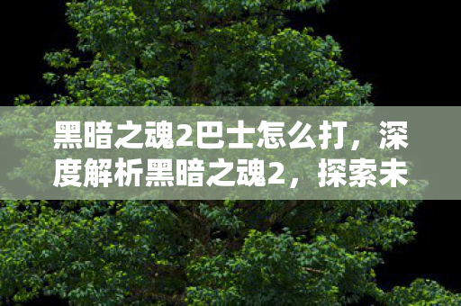 黑暗之魂2巴士怎么打,深度解析黑暗之魂2,探索未知世界的巴士之旅 黑暗之魂2巴士怎么打,深度解析黑暗之魂2,探索未知世界的巴士之旅