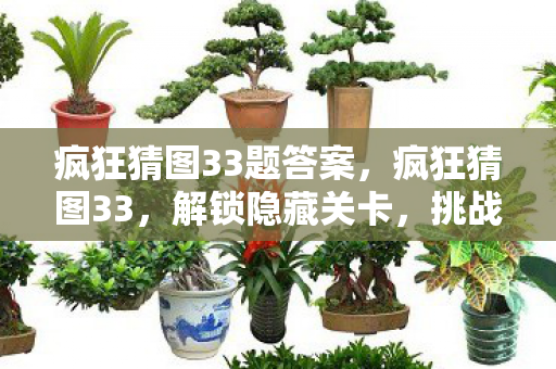 疯狂猜图33题答案,疯狂猜图33,解锁隐藏关卡,挑战你的智慧极限! 疯狂猜图33题答案,疯狂猜图33,解锁隐藏关卡,挑战你的智慧极限!