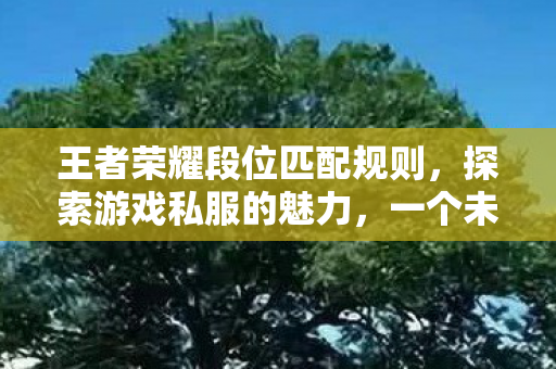 王者荣耀段位匹配规则,探索游戏私服的魅力,一个未被官方触及的平行世界 王者荣耀段位匹配规则,探索游戏私服的魅力,一个未被官方触及的平行世界