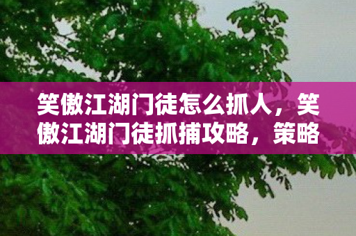 笑傲江湖门徒怎么抓人,笑傲江湖门徒抓捕攻略,策略与技巧 笑傲江湖门徒怎么抓人,笑傲江湖门徒抓捕攻略,策略与技巧