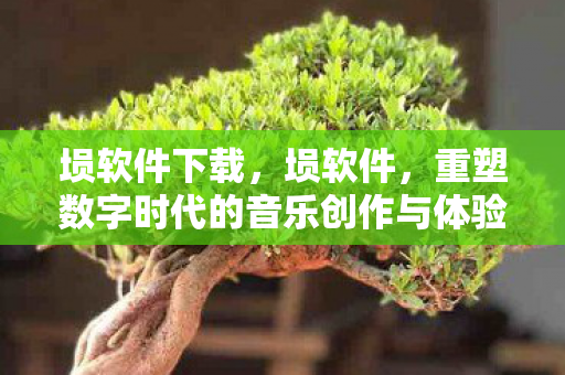 埙软件下载,埙软件,重塑数字时代的音乐创作与体验 埙软件下载,埙软件,重塑数字时代的音乐创作与体验