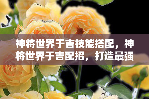 神将世界于吉技能搭配，神将世界于吉配招，打造最强阵容的攻略