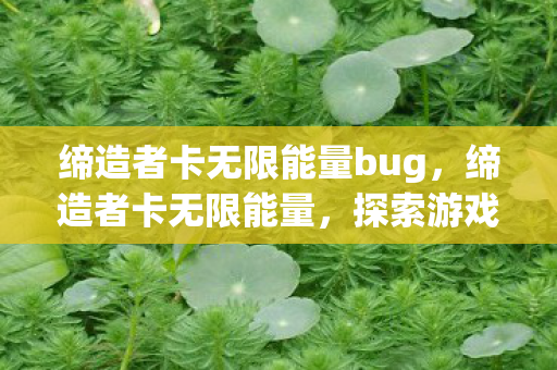 缔造者卡无限能量bug，缔造者卡无限能量，探索游戏世界的无限可能