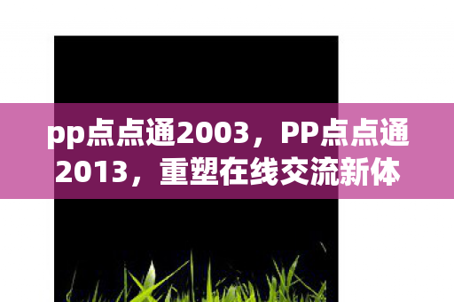 pp点点通2003，PP点点通2013，重塑在线交流新体验