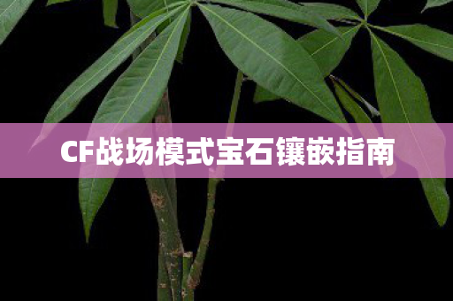 CF战场模式宝石镶嵌指南 CF战场模式宝石镶嵌指南