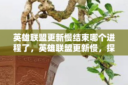 英雄联盟更新慢结束哪个进程了,英雄联盟更新慢,探究背后的进程与优化建议 英雄联盟更新慢结束哪个进程了,英雄联盟更新慢,探究背后的进程与优化建议