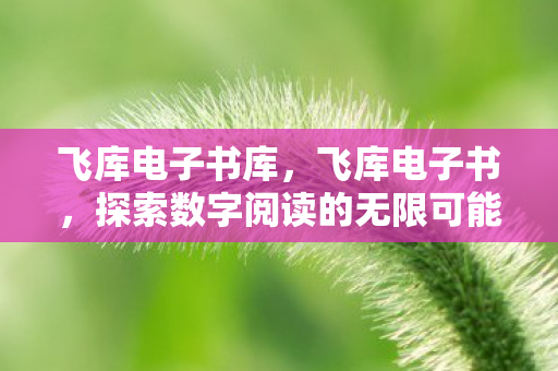 飞库电子书库,飞库电子书,探索数字阅读的无限可能 飞库电子书库,飞库电子书,探索数字阅读的无限可能