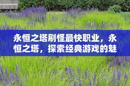 永恒之塔刷怪最快职业,永恒之塔,探索经典游戏的魅力与挑战 永恒之塔刷怪最快职业,永恒之塔,探索经典游戏的魅力与挑战