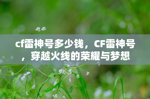 cf雷神号多少钱,CF雷神号,穿越火线的荣耀与梦想 cf雷神号多少钱,CF雷神号,穿越火线的荣耀与梦想