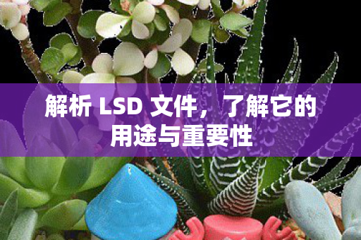 解析 LSD 文件,了解它的用途与重要性 解析 LSD 文件,了解它的用途与重要性