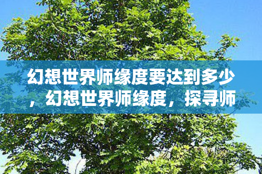 幻想世界师缘度要达到多少,幻想世界师缘度,探寻师徒情缘的奇幻之旅 幻想世界师缘度要达到多少,幻想世界师缘度,探寻师徒情缘的奇幻之旅