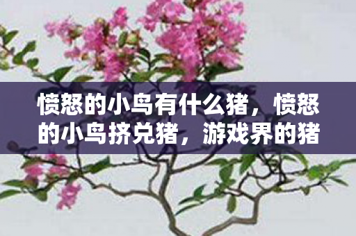 愤怒的小鸟有什么猪，愤怒的小鸟挤兑猪，游戏界的猪与鸟之争