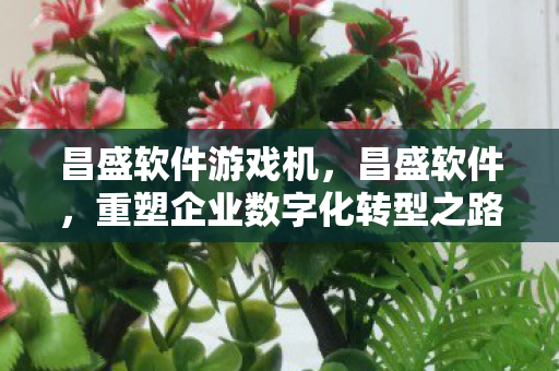 昌盛软件游戏机,昌盛软件,重塑企业数字化转型之路 昌盛软件游戏机,昌盛软件,重塑企业数字化转型之路