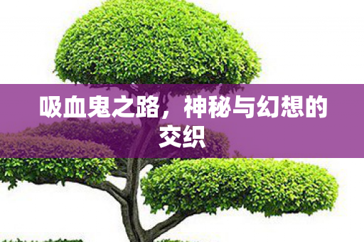 吸血鬼之路，神秘与幻想的交织