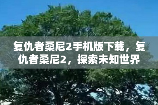 复仇者桑尼2手机版下载，复仇者桑尼2，探索未知世界的奇幻之旅