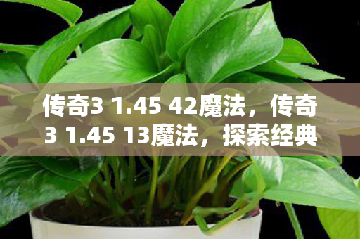 传奇3 1.45 42魔法,传奇3 1.45 13魔法,探索经典游戏的魔法之旅 传奇3 1.45 42魔法,传奇3 1.45 13魔法,探索经典游戏的魔法之旅