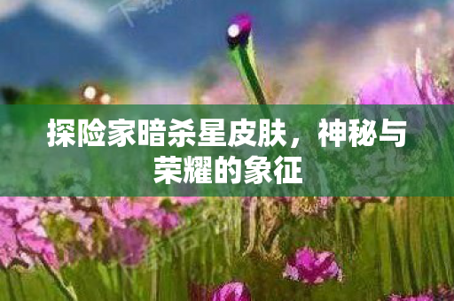 探险家暗杀星皮肤,神秘与荣耀的象征 探险家暗杀星皮肤,神秘与荣耀的象征