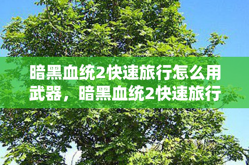 暗黑血统2快速旅行怎么用武器，暗黑血统2快速旅行攻略，高效探索游戏世界的秘诀